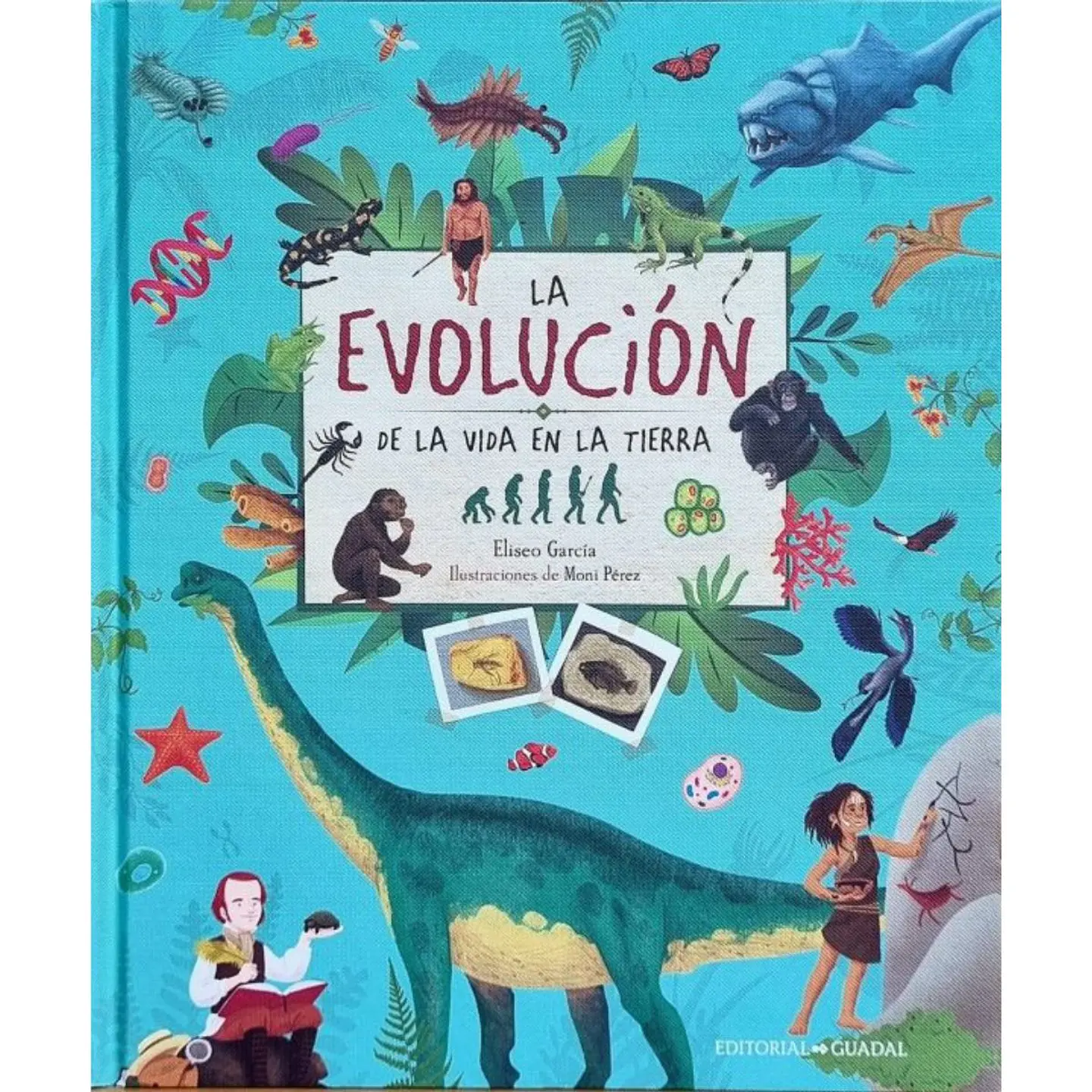 La Evolucion De La Vida En La Tierra 1