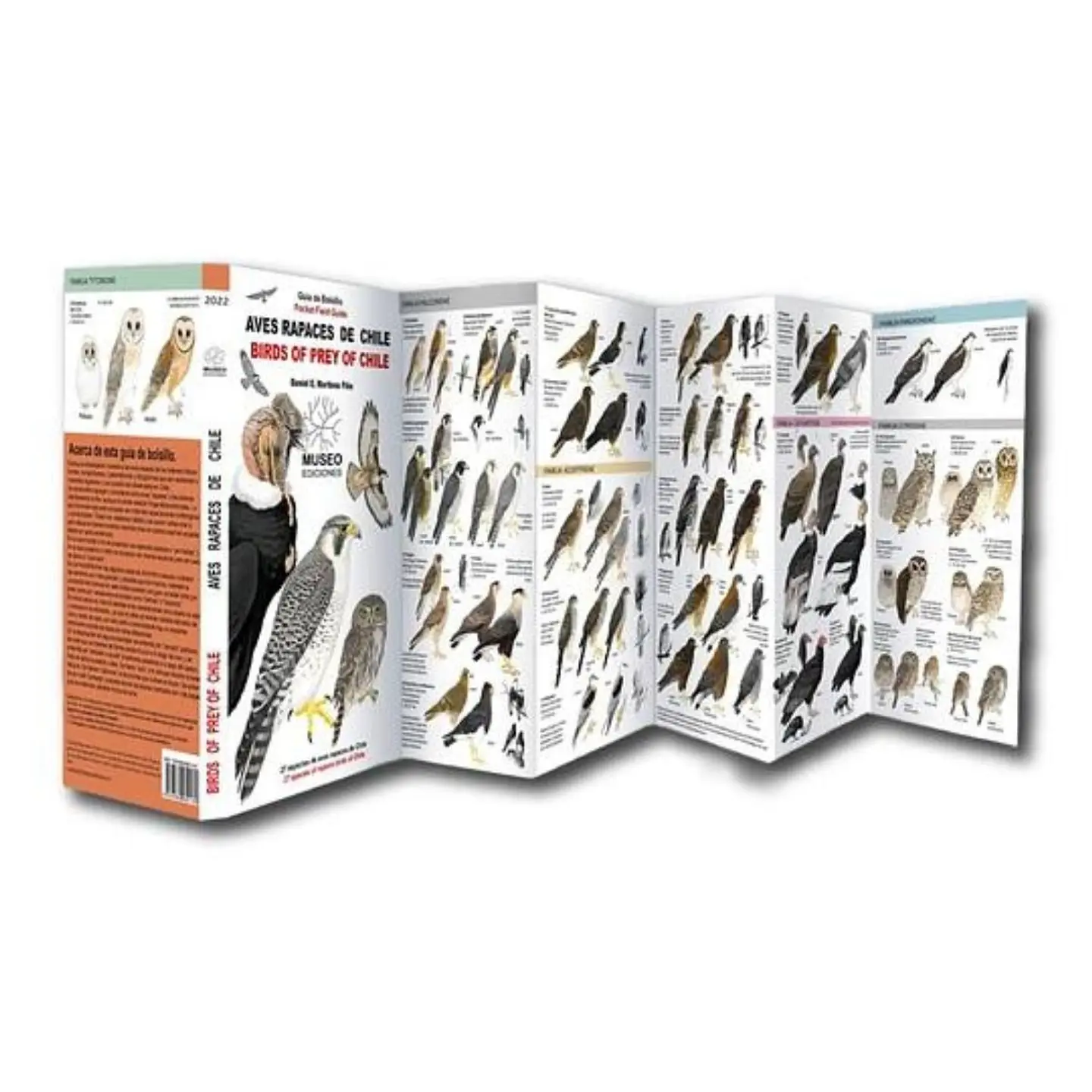 Guia Desplegable Aves Rapaces De Chile 1