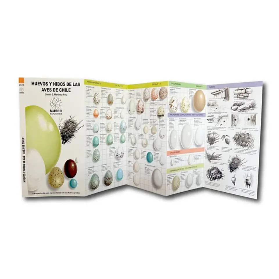 Guia Desplegable Huevos Y Nidos De Las Aves De Chile 2
