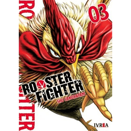Rooster Fighter 3