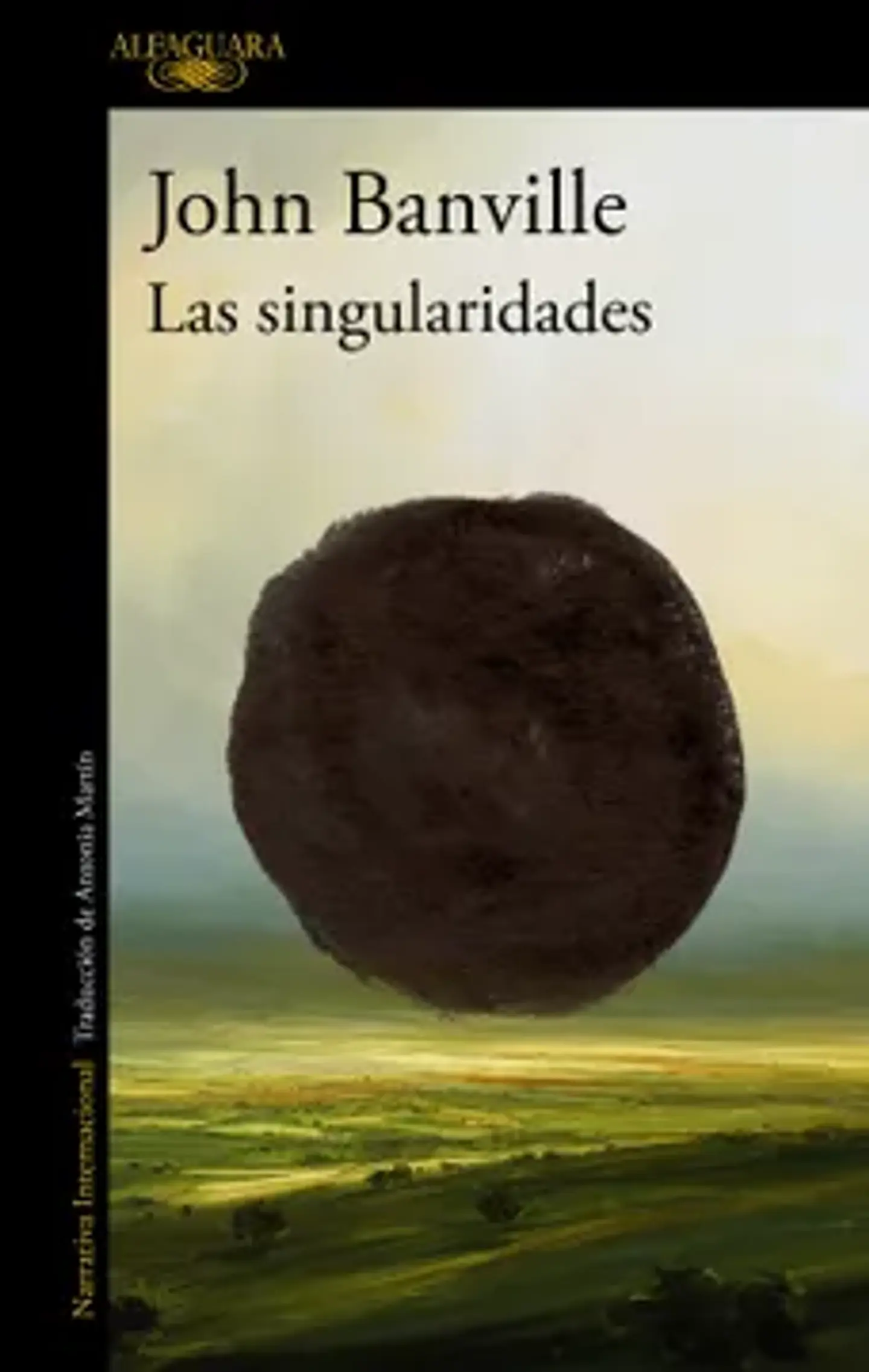 Las Singularidades 1