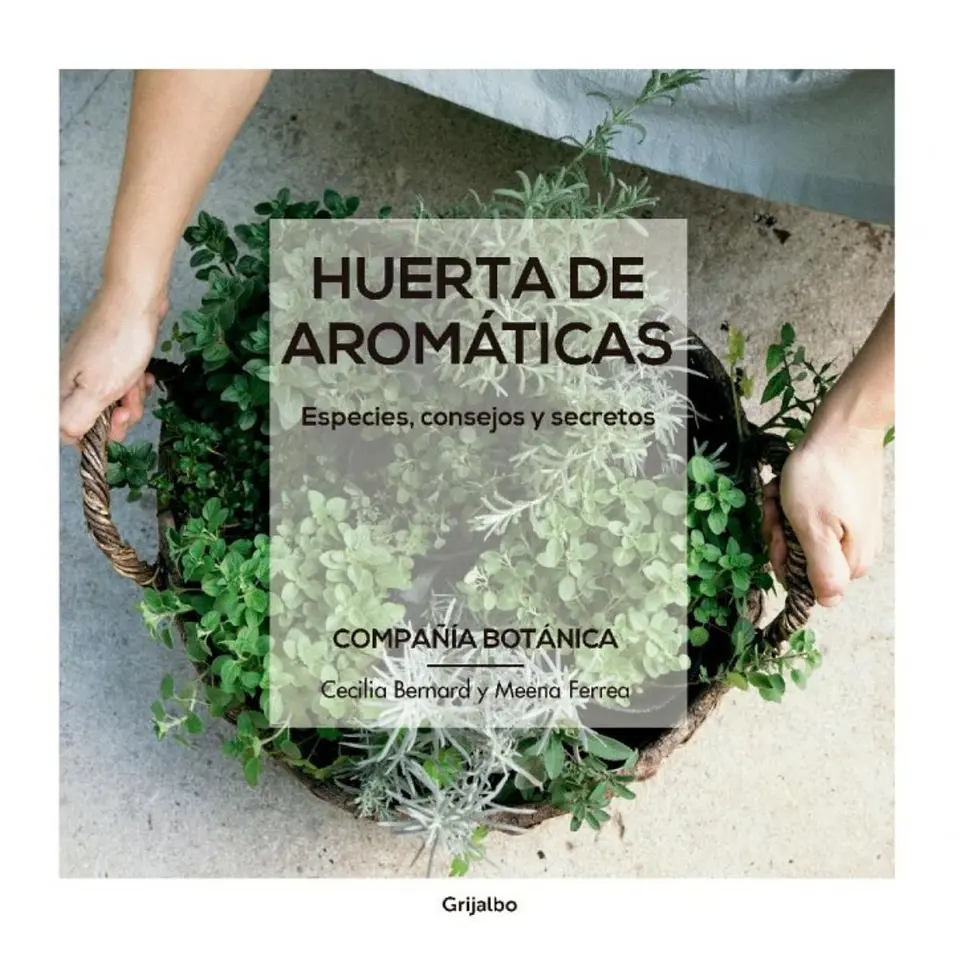 Huerta De Aromaticas - Compañia Botanica 1