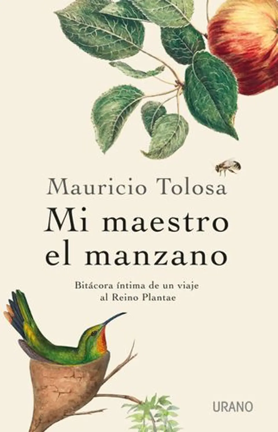 Mi Maestro El Manzano 1