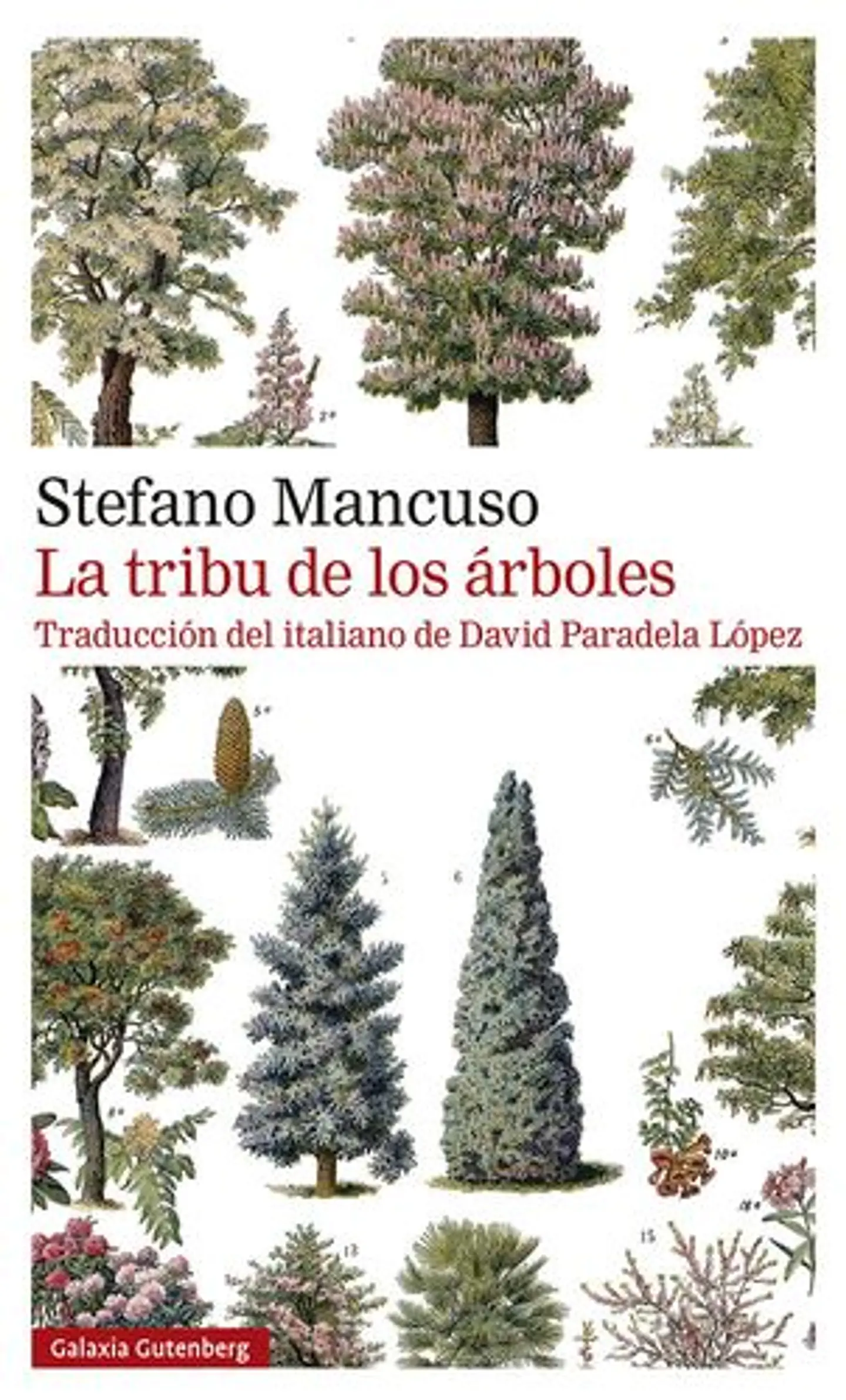 La Tribu De Los Arboles 1