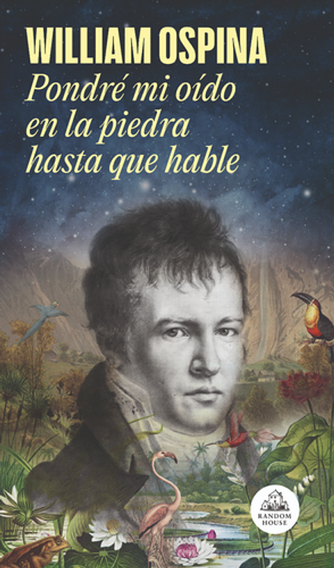 Pondre Mi Oido En La Piedra Hasta Que Hable