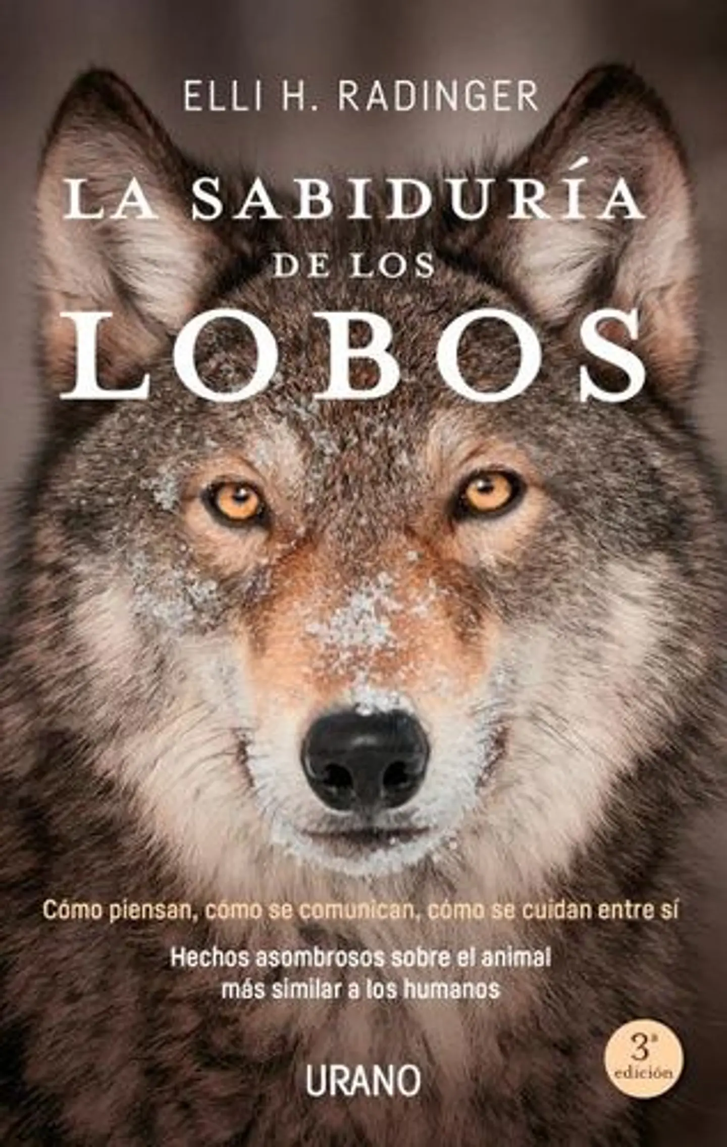 La Sabiduria De Los Lobos 1