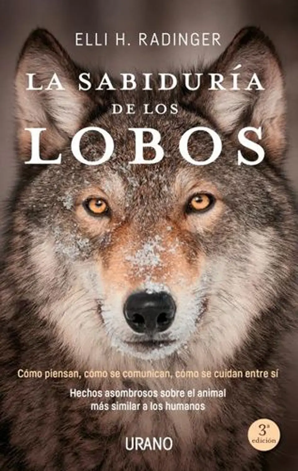 La Sabiduria De Los Lobos 1