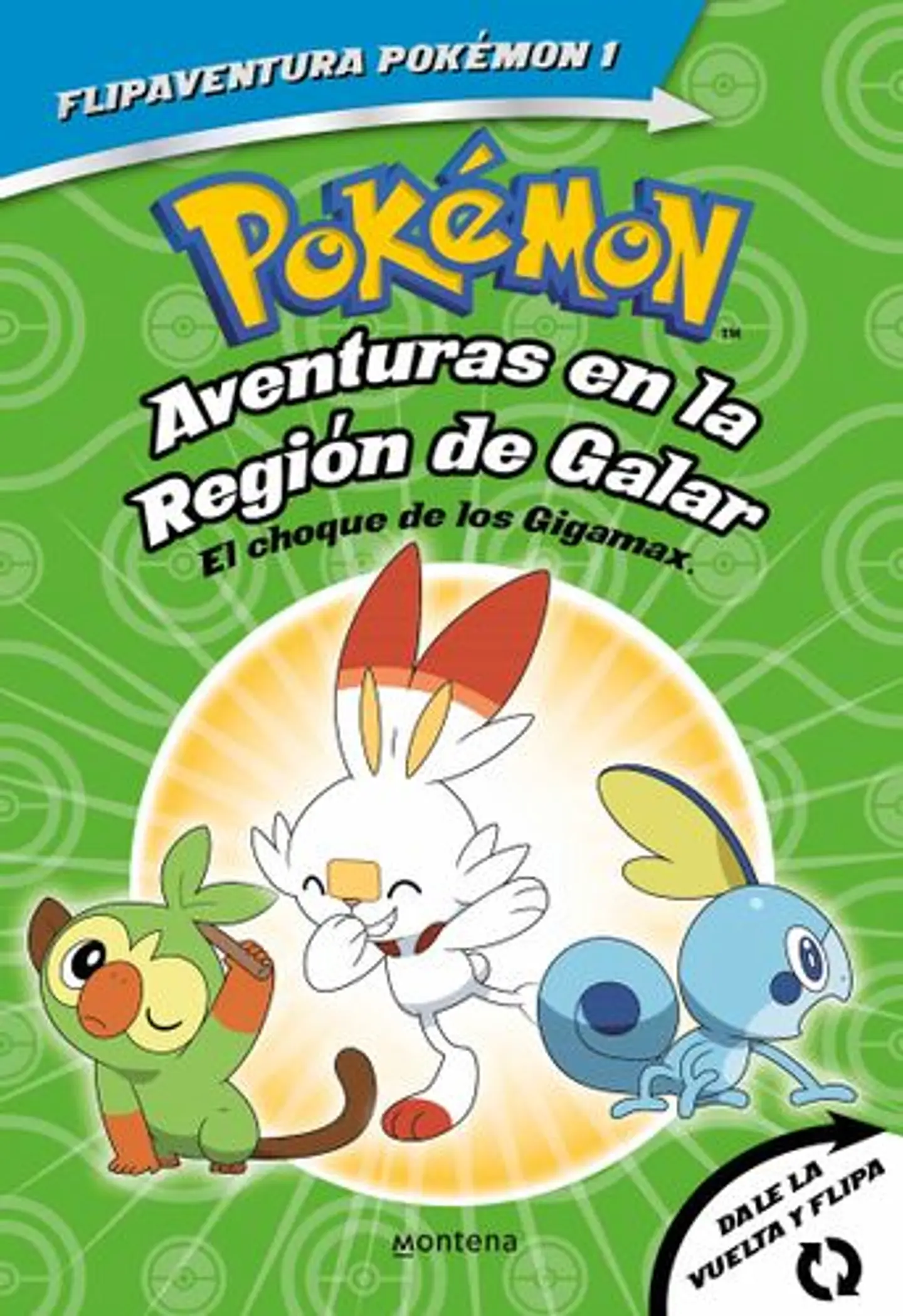 Pokemon. Aventuras En La Region Galar 1
