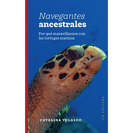 Navegantes Ancestrales