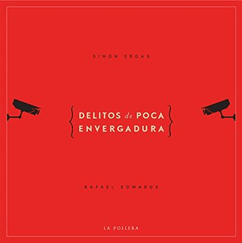 Delitos De Poca Envergadura