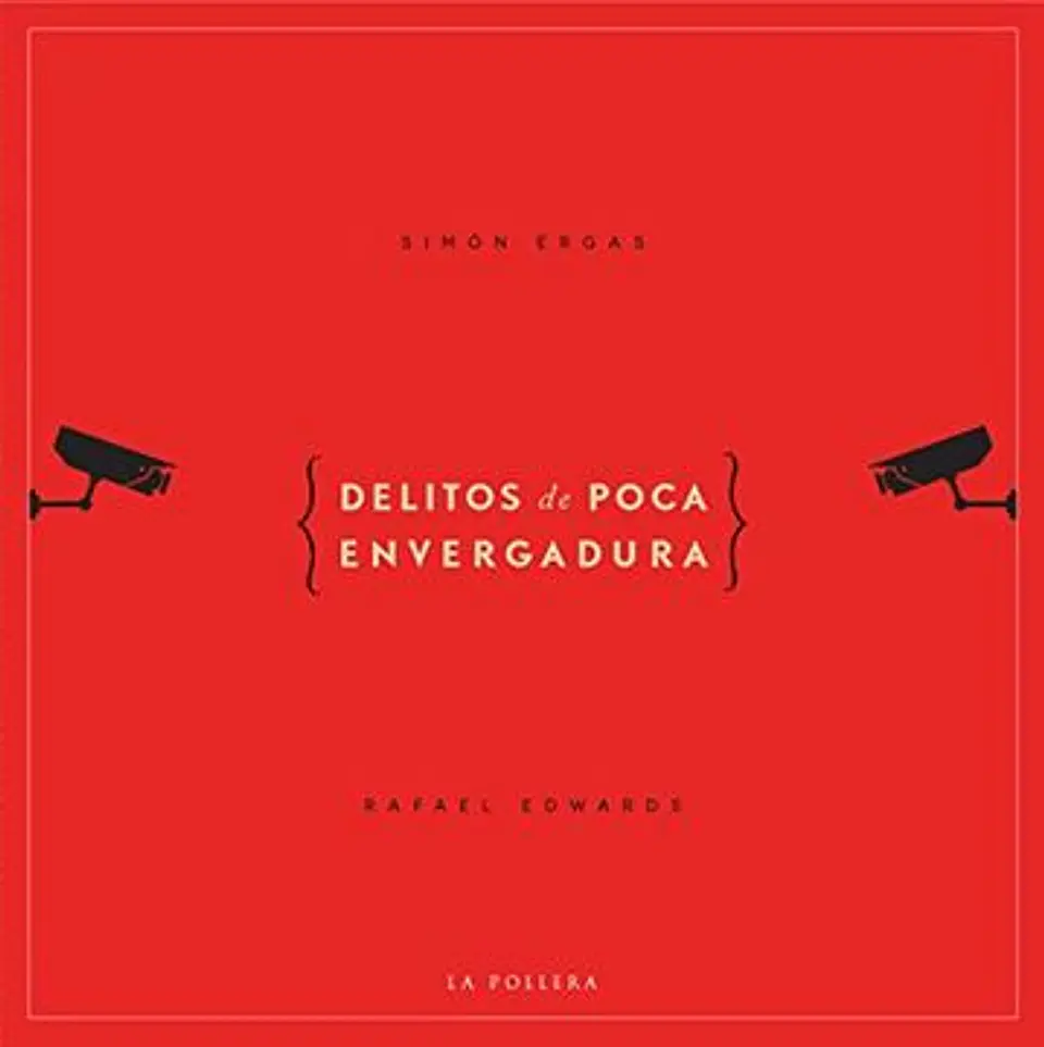 Delitos De Poca Envergadura 1