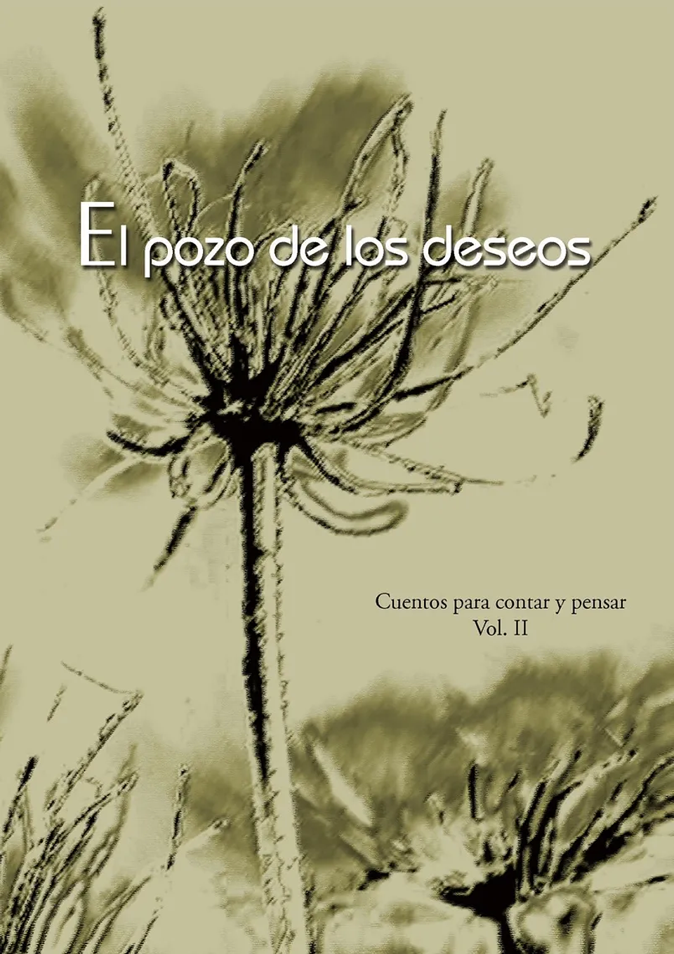 El Pozo De Los Deseos 1