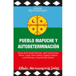 Pueblo Mapuche Y Autodeterminacion
