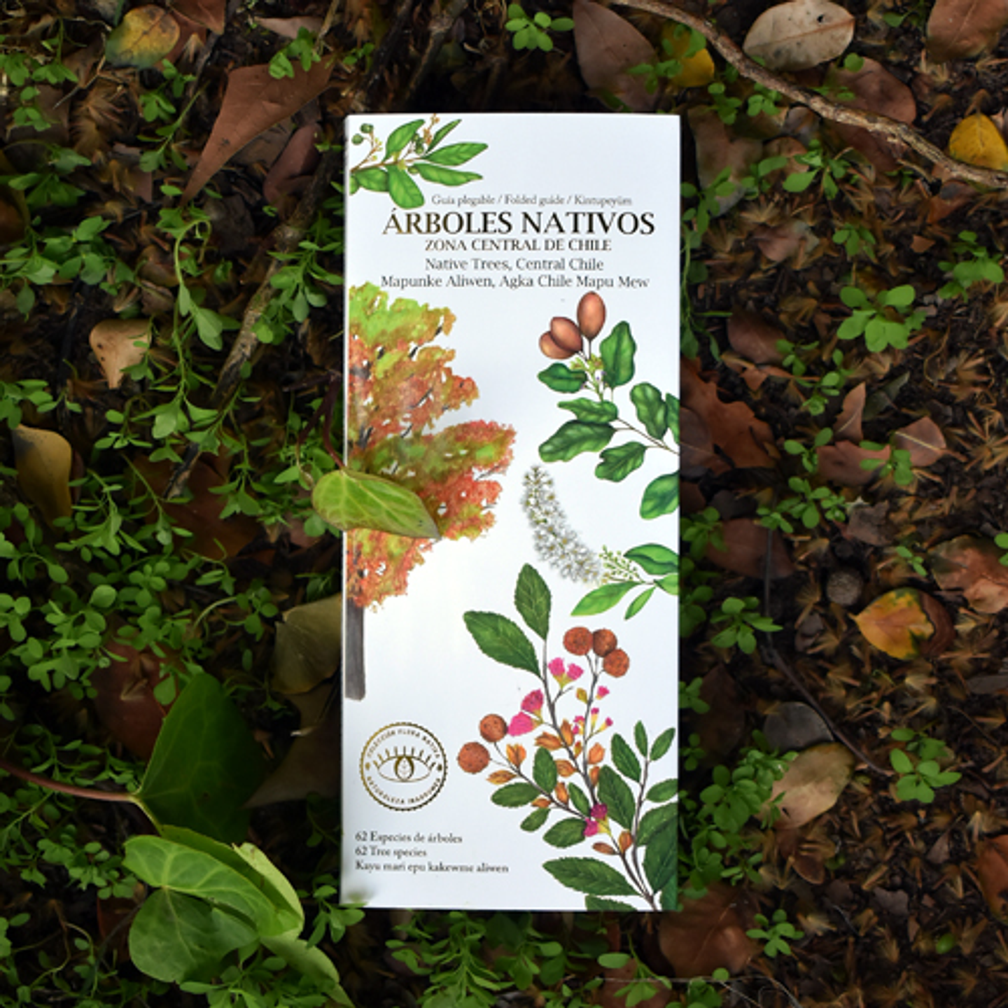 Guia Arboles Nativos De La Zona Central De Chile 1