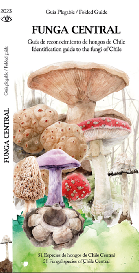 Guia Desplegable Funga Central