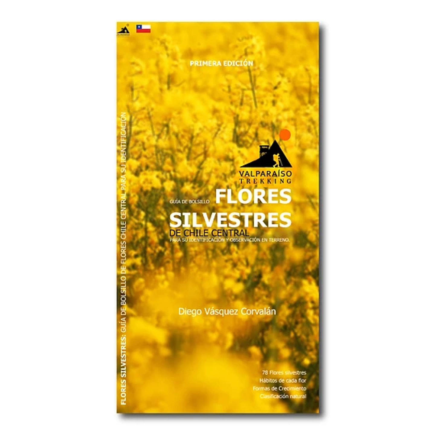 Guia Desplegable Flores Silvestres De Chile Central 1