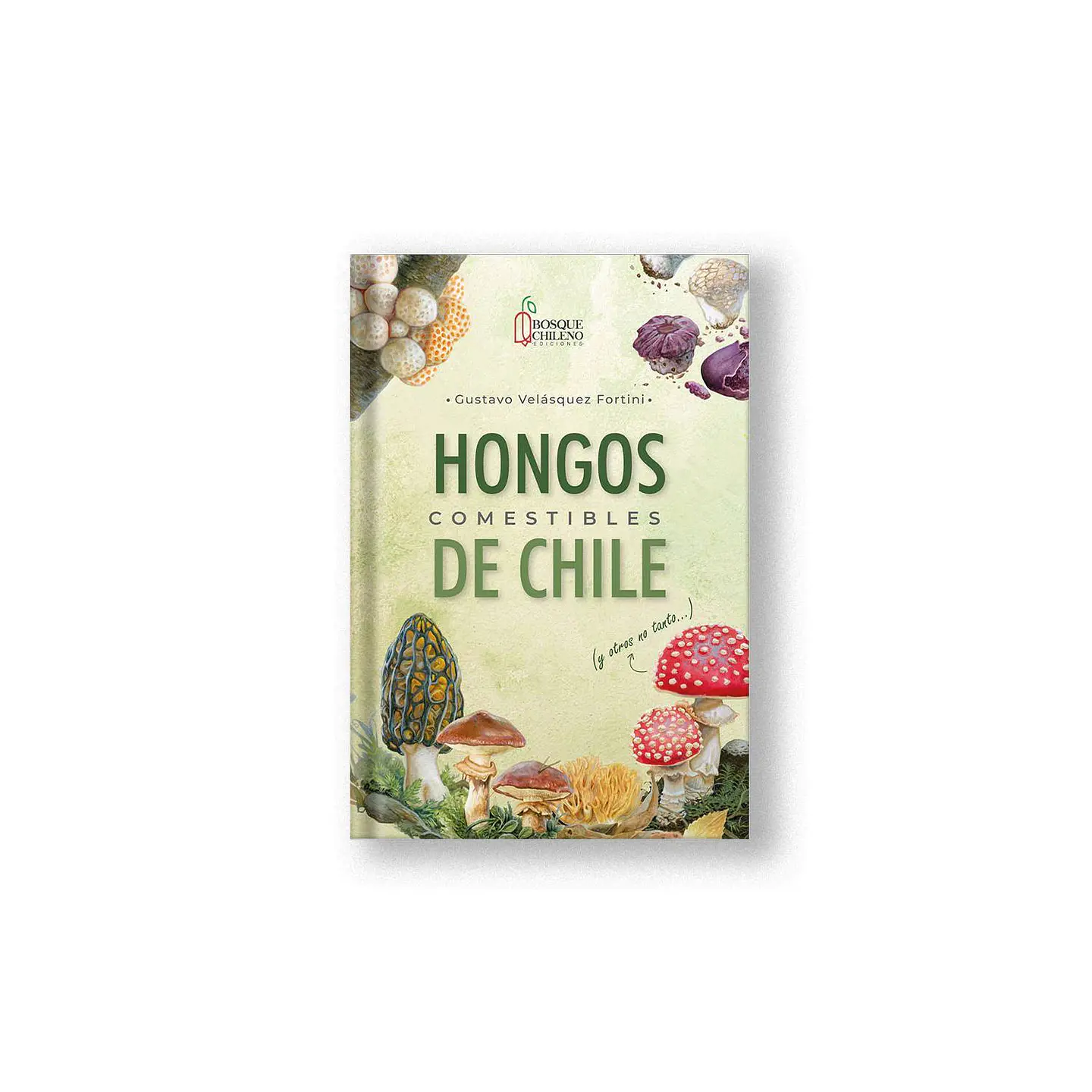Hongos Comestibles De Chile 1