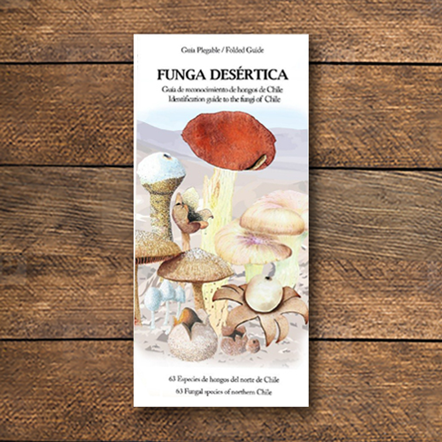 Guia Desplegable  Funga Desertica 1