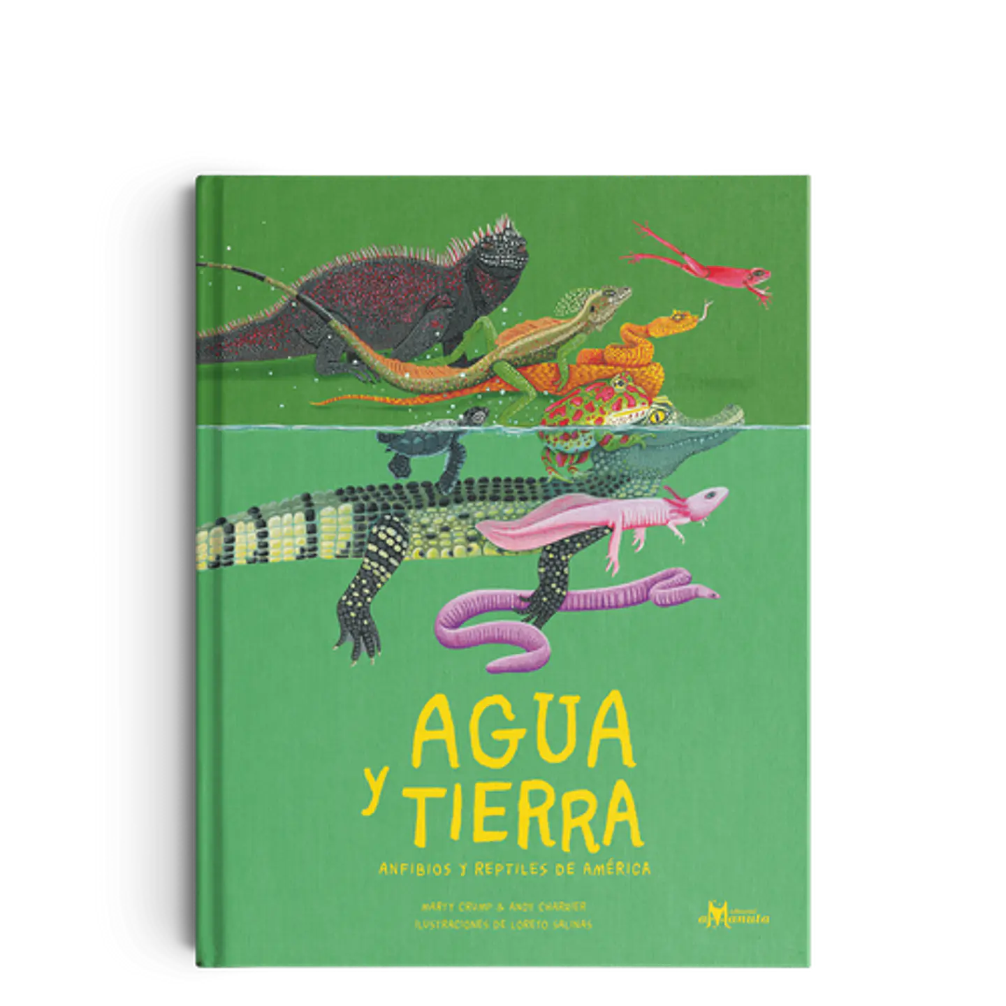 Agua Y Tierra: Anfibios Y Reptiles De America 1