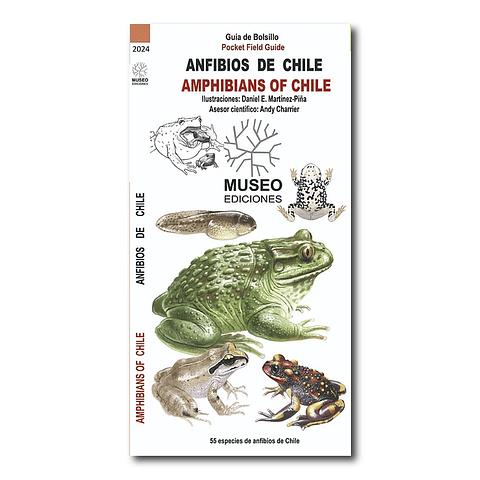 Anfibios De Chile 