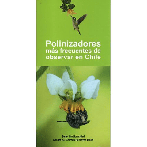 Polinizadores Mas Frecuentes De Observar En Chile
