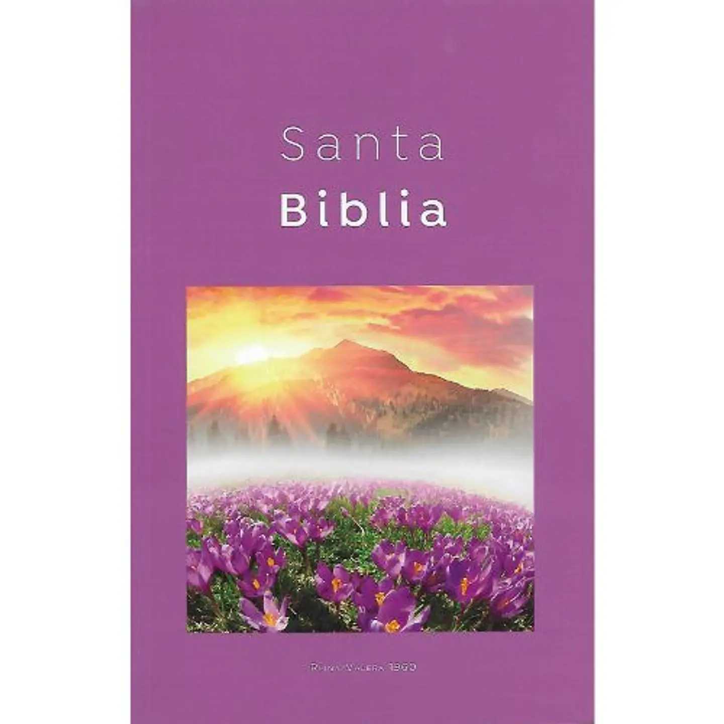 Biblia Reina Valera 1960 Misionera Economica Lila 1