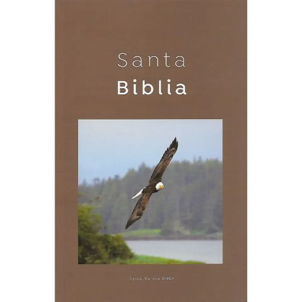 Biblia Reina Valera 1960 Misionera Economica Cafe 1