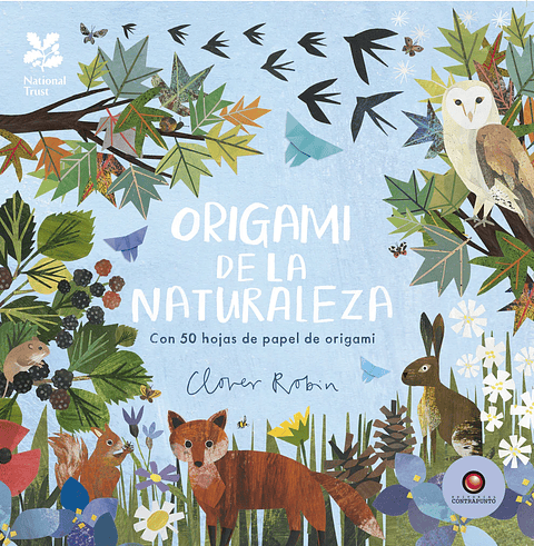 Origami De La Naturaleza
