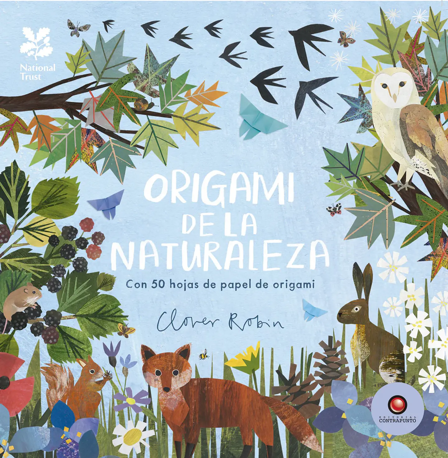 Origami De La Naturaleza 1