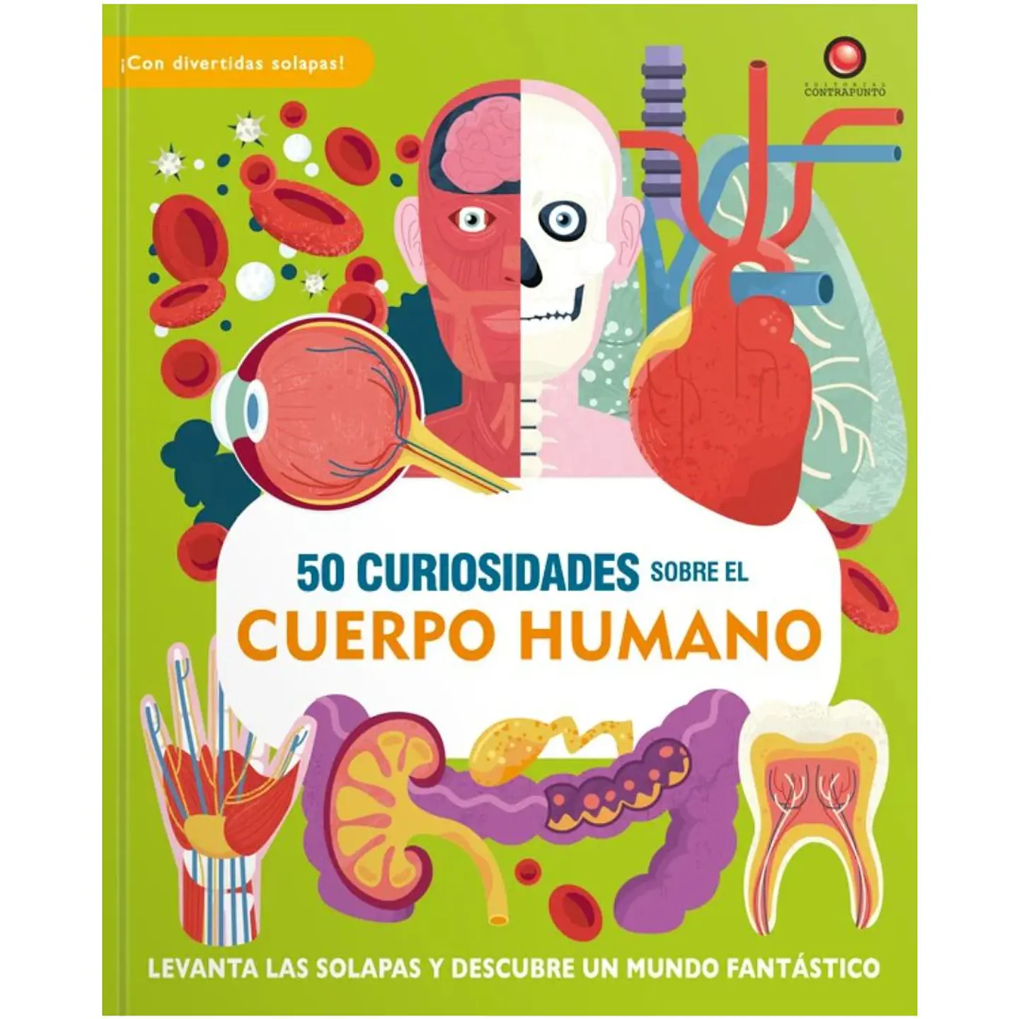 50 Curiosidades Sobre El Cuerpo Humano 1