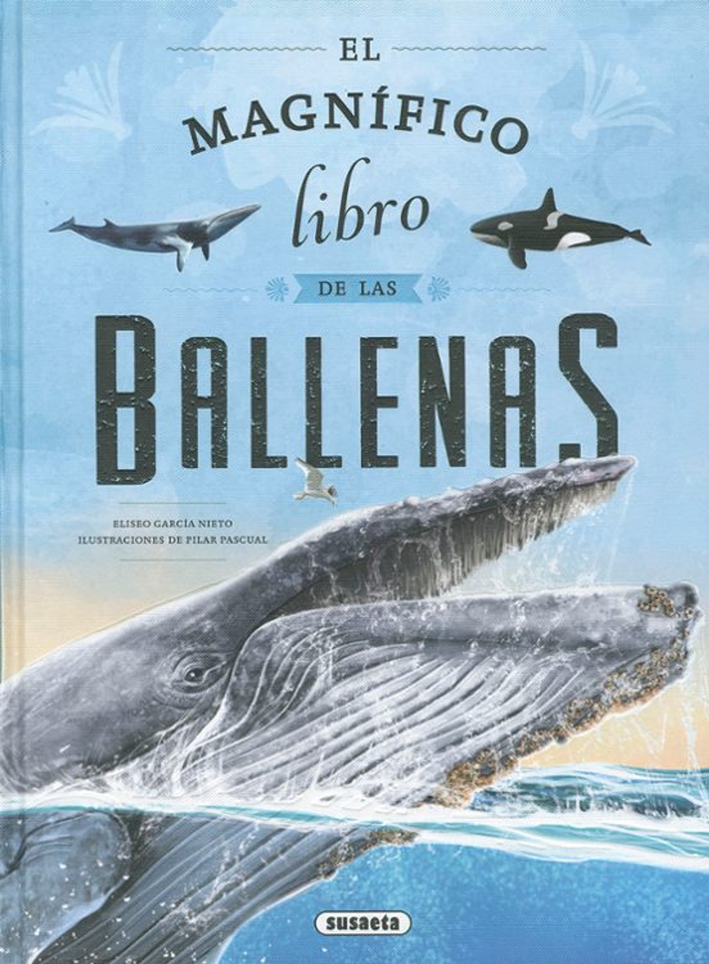 Magnifico Libro De Ballenas 1