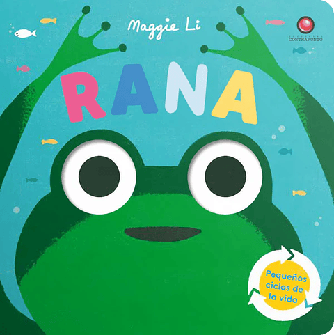 Pequeñops Ciclos De La Vida. Rana