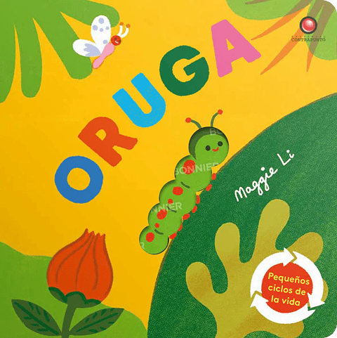 Pequeños Ciclos De La Vida. Oruga