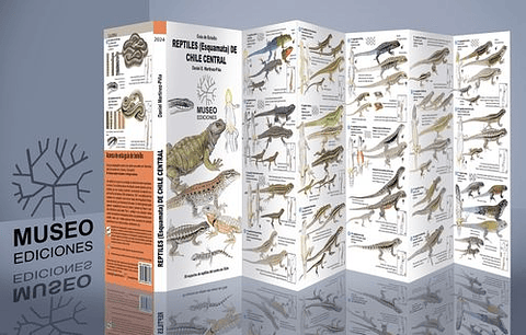 Guia Reptiles (Esquamata) De Chile Central