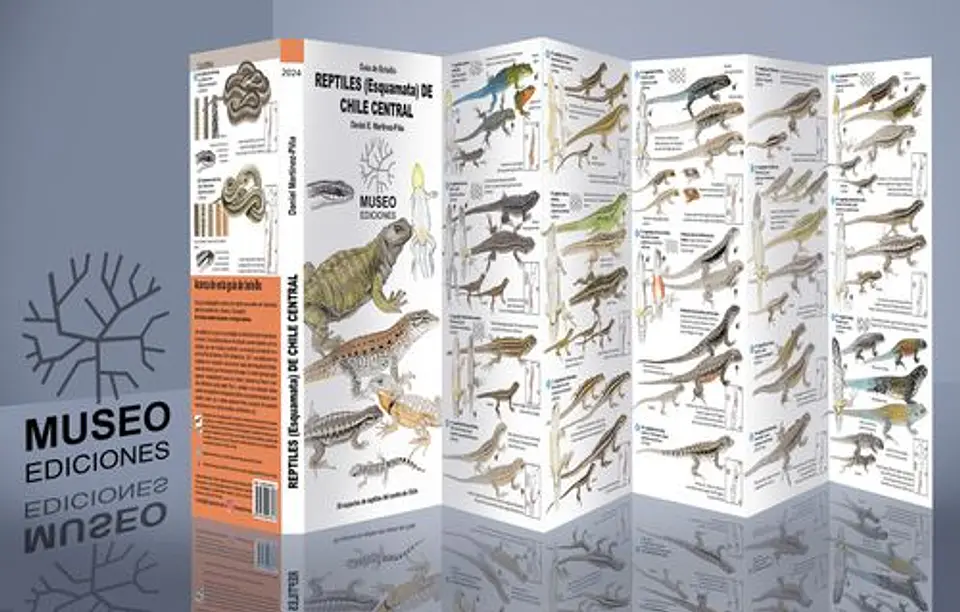 Guia Reptiles (Esquamata) De Chile Central 1