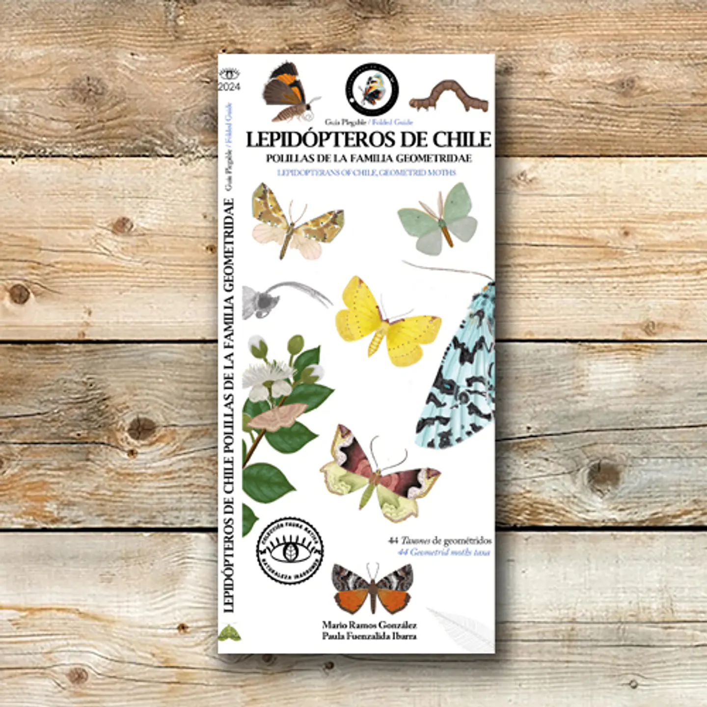 Guia De Los Lepidopteros De Chile 1