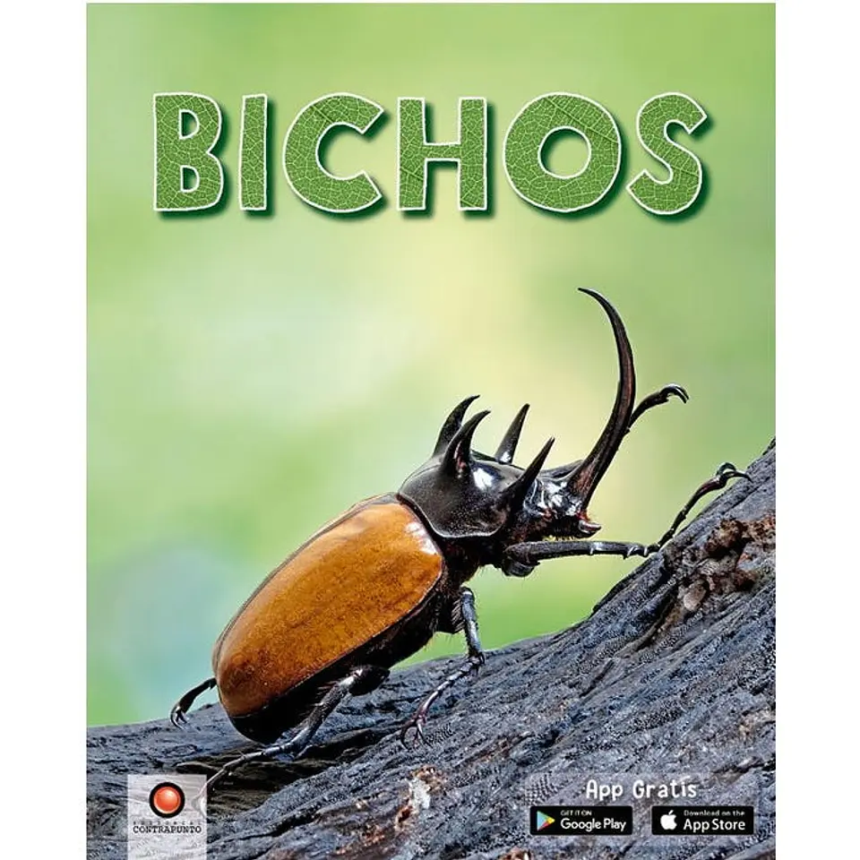 Bichos 1
