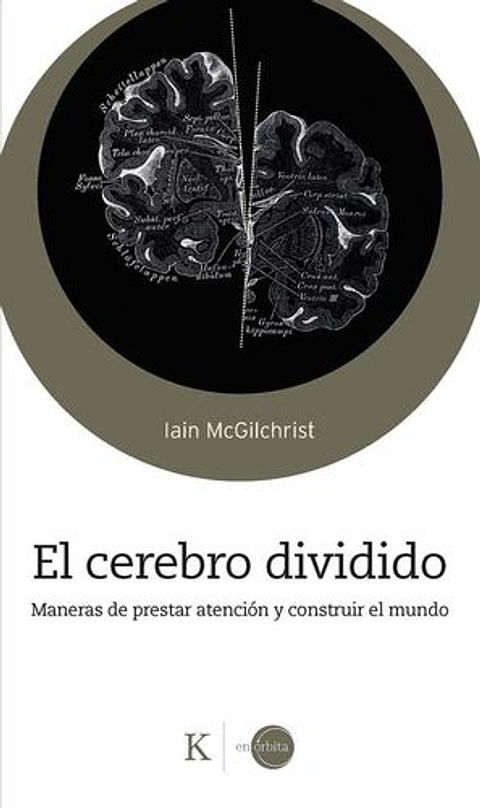 El Cerebro Divido