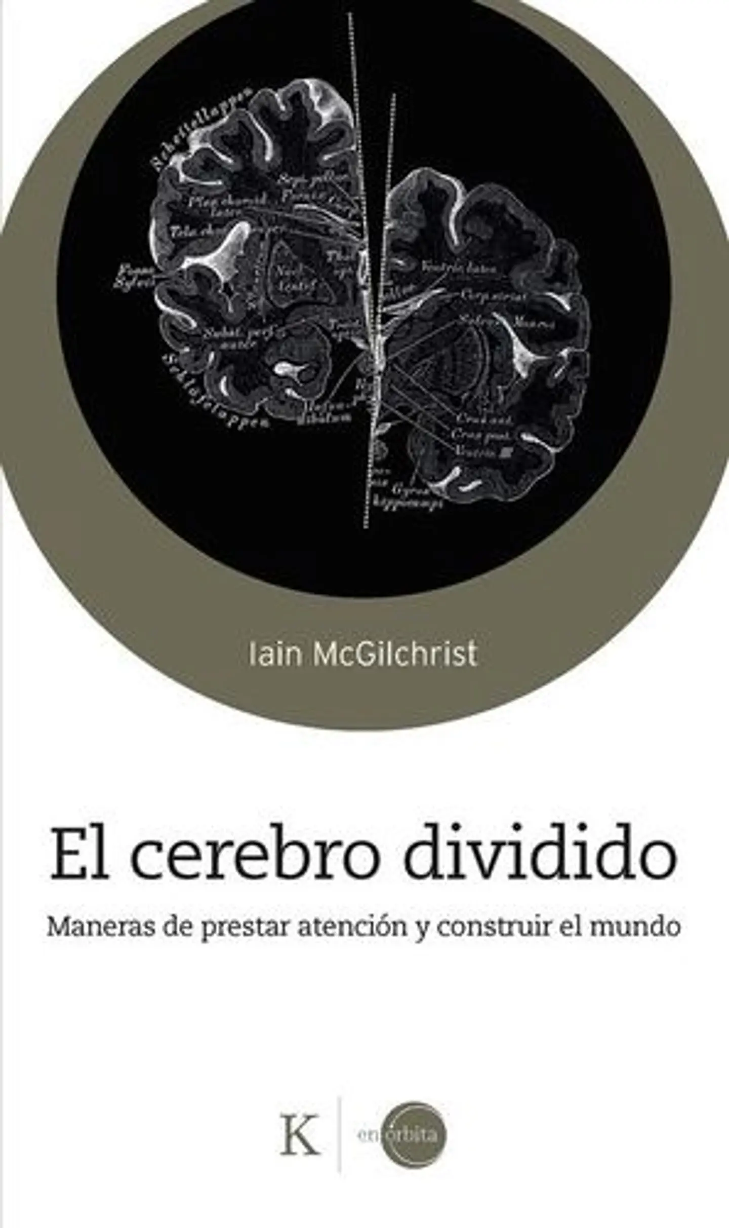 El Cerebro Divido 1