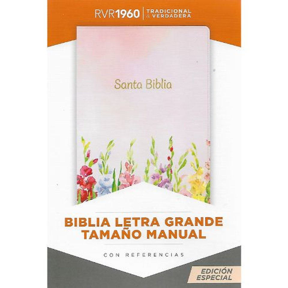 Biblia Reina Valera 1960 Letra Grande Tamaño Manual Con Referencias Rosada Lomo Fucsia 1