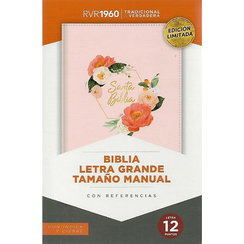 Biblia Rvr1960 Letra Grande Tamaño Manual Con Indice Y Cierre (Tapa Imitacion Piel) Rosada