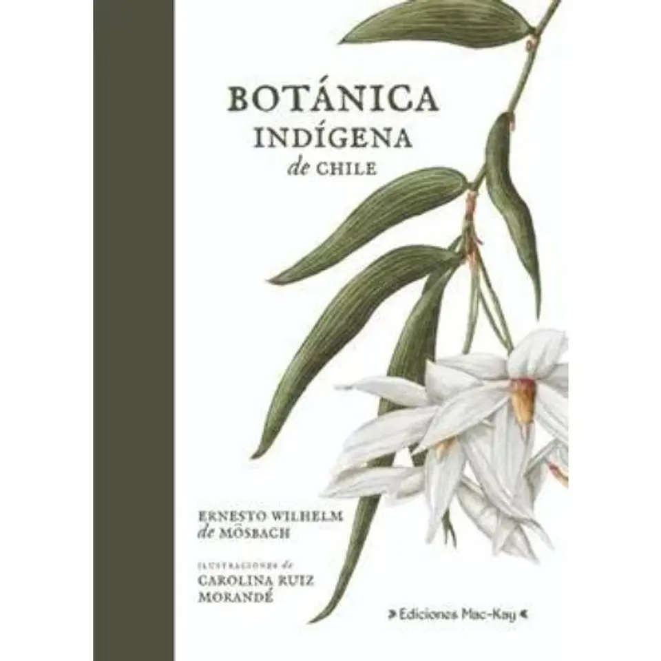Botanica Indigena De Chile 1
