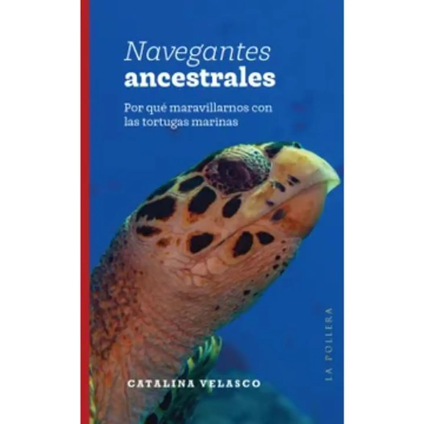Navegantes Ancestrales 1