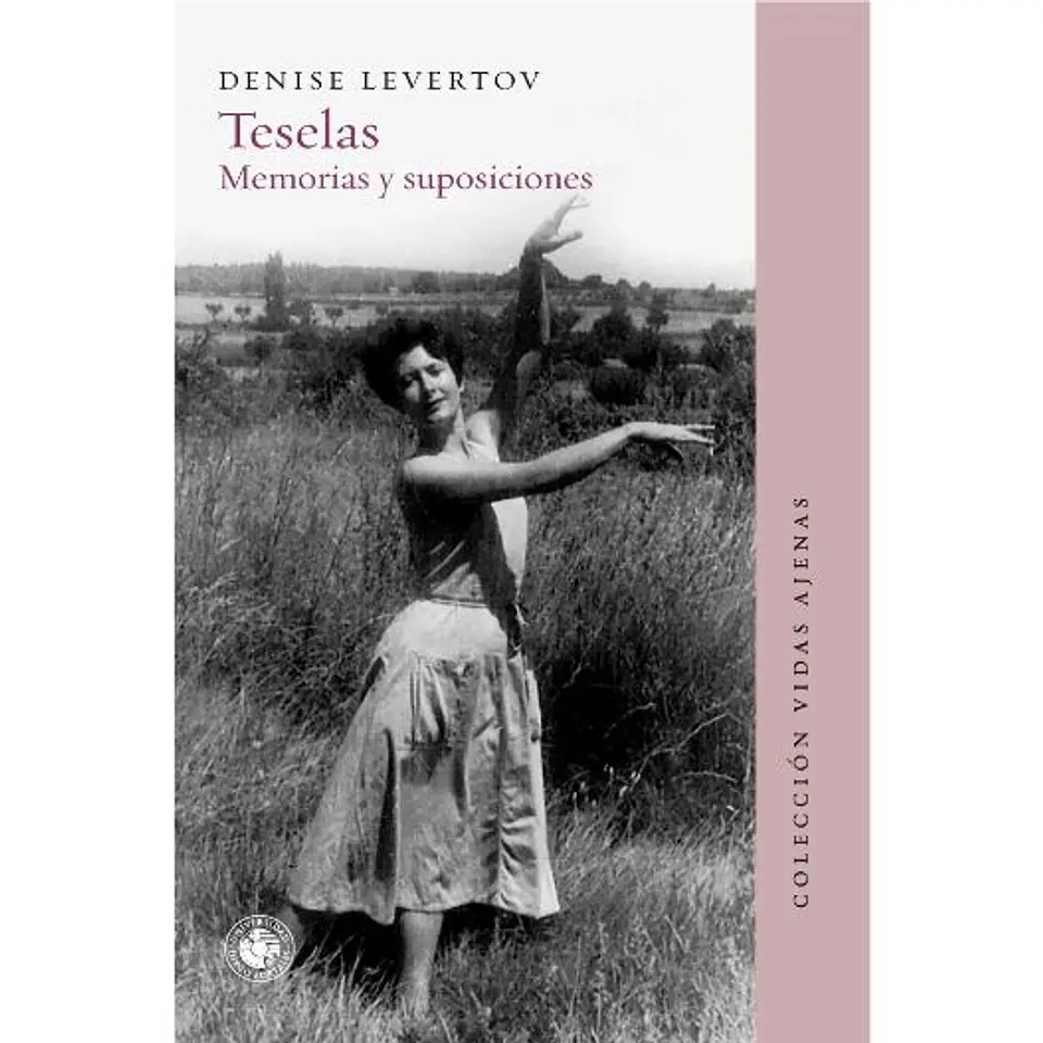 Teselas. Memorias Y Suposiciones 1