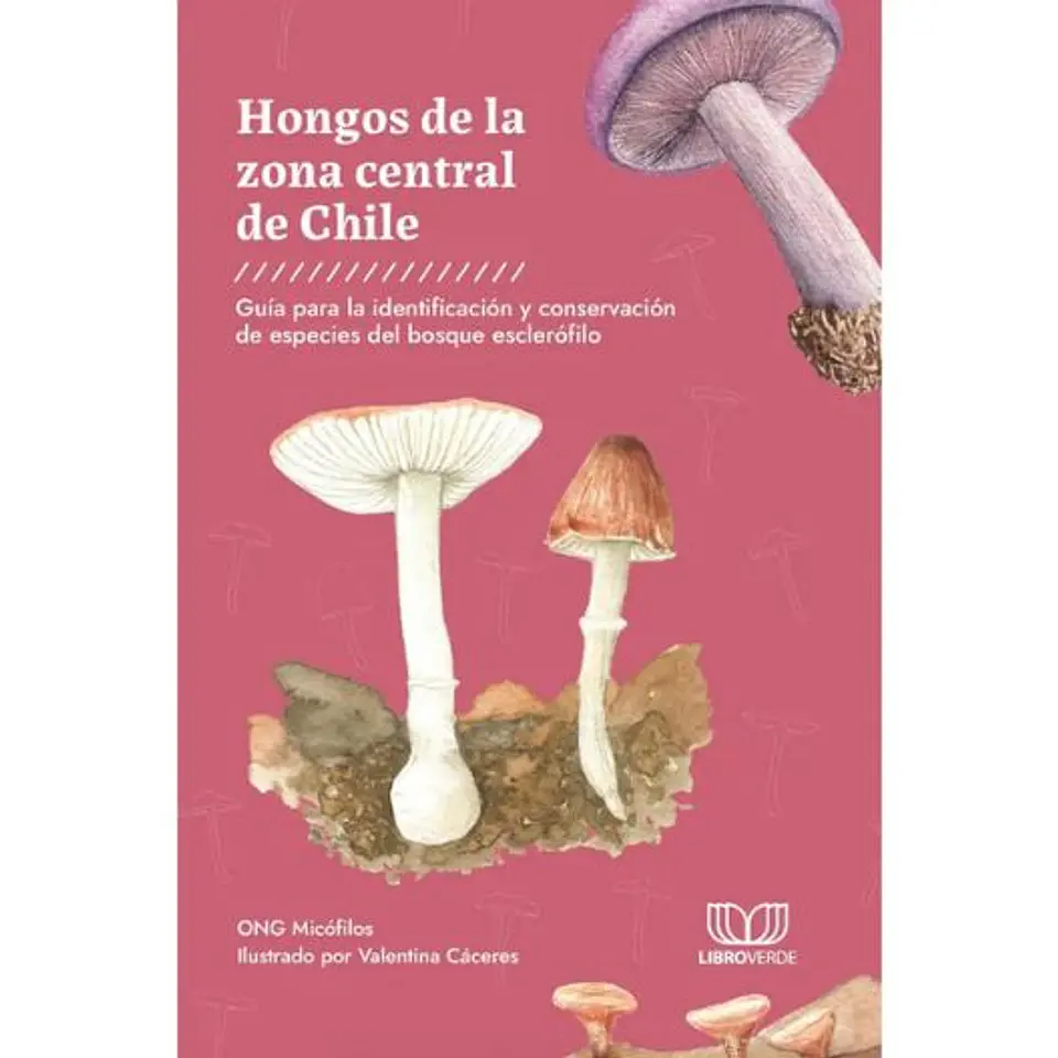 Hongos De La Zona Central De Chile 1