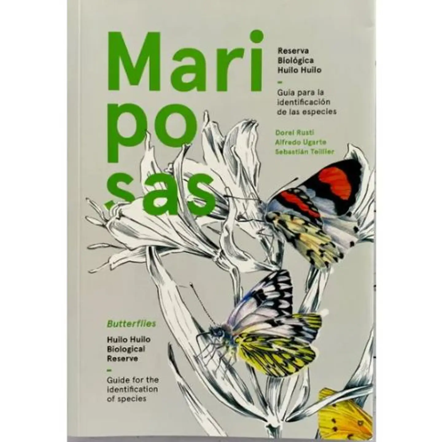 Mariposas Guia Para La Identificacion De Las Especies 1