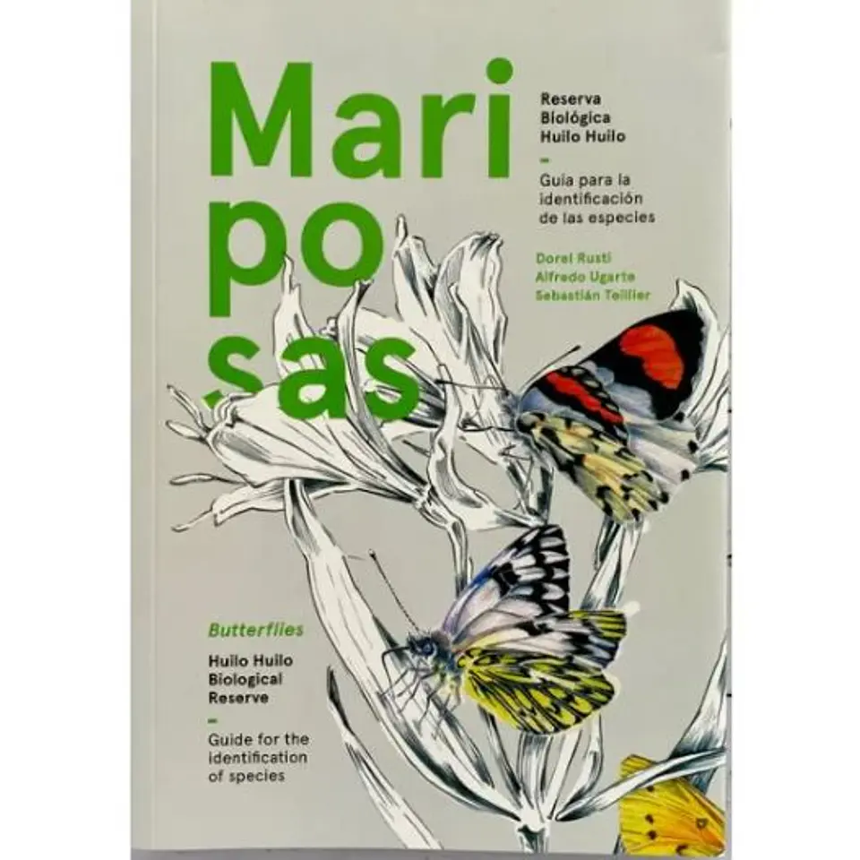 Mariposas Guia Para La Identificacion De Las Especies 1