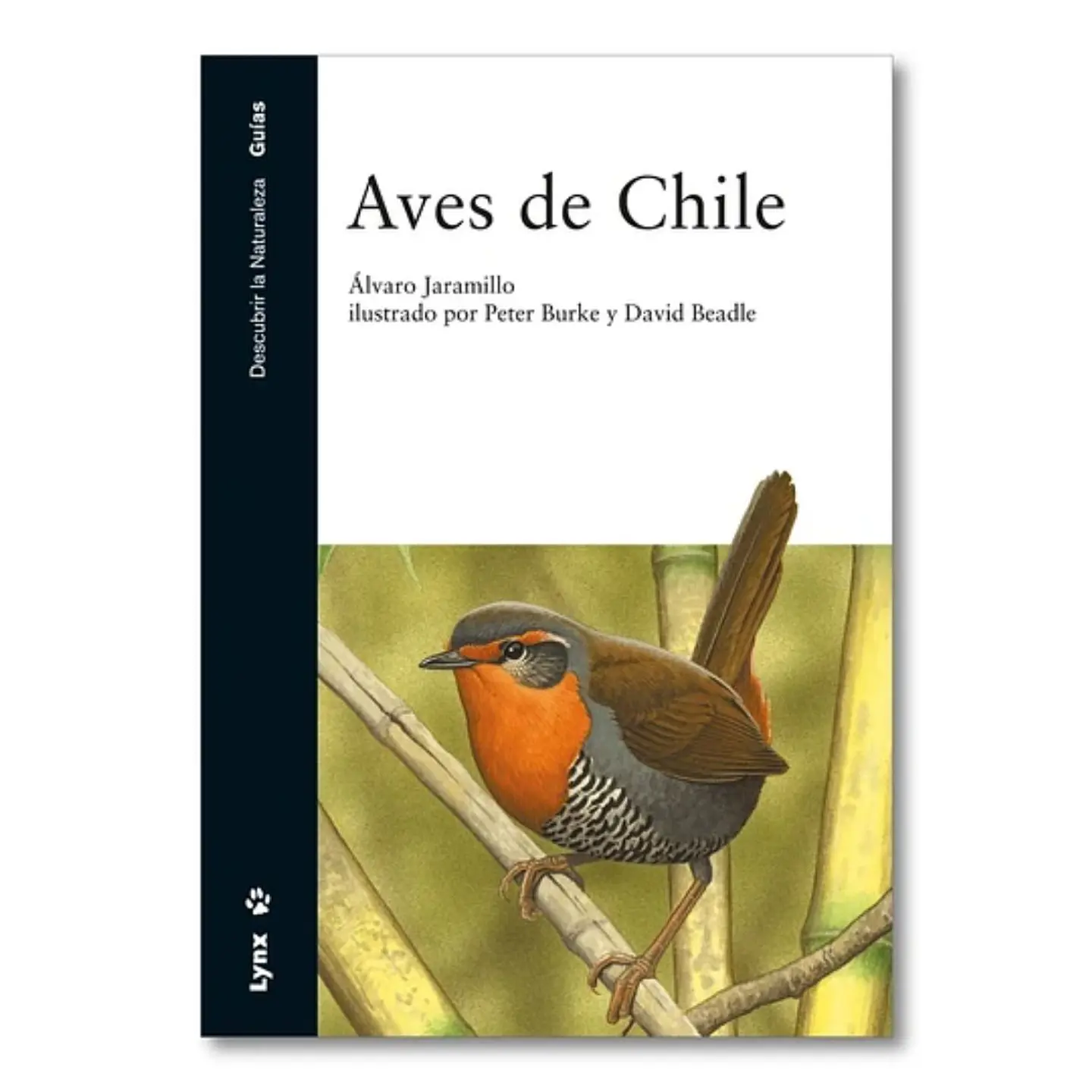 Aves De Chile 1