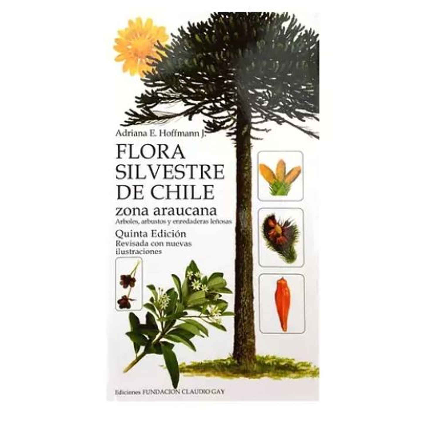 Flora Silvestre De Chile Zona Araucana 1
