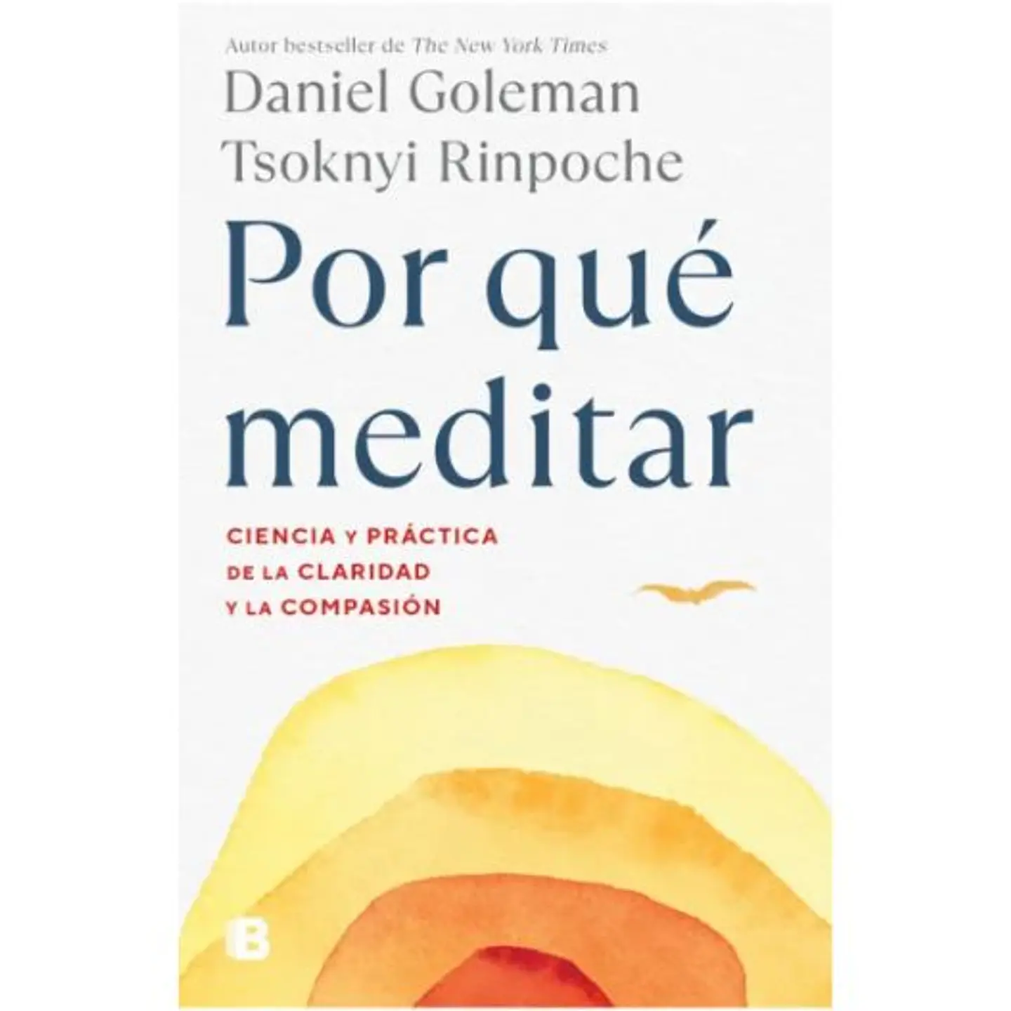 Por Que Meditar  1